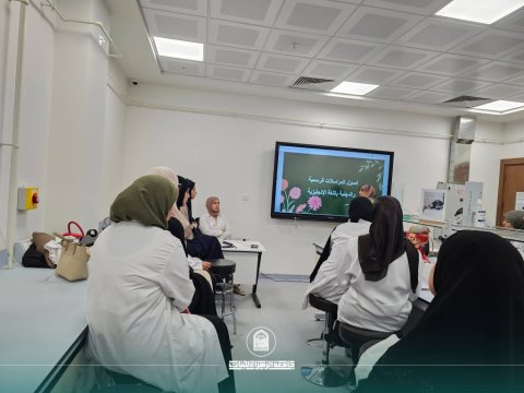 أخبار 6