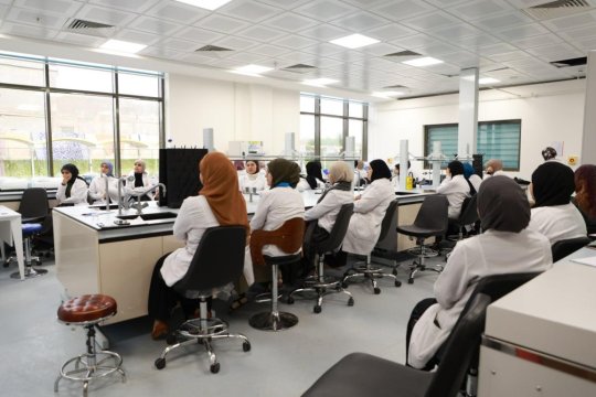 القاعات الدراسية والمختبرات