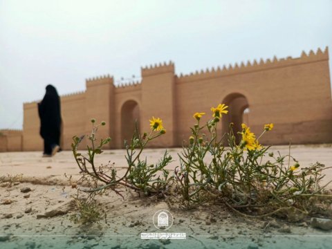 أخبار 7