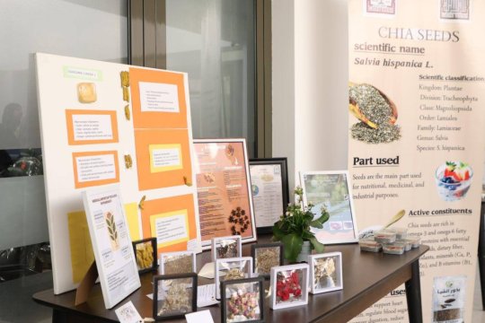 صور عن الكلية