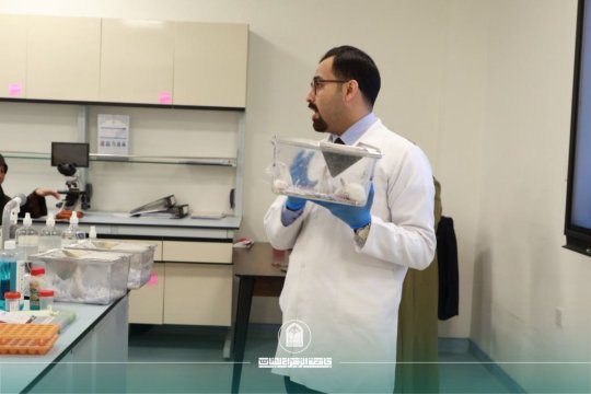 Mouse Models in Medical Research… Scientific Workshop Highlights Modern Uses and Applications