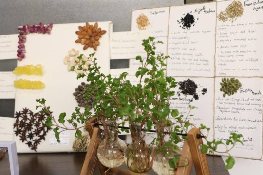 صور عن الكلية