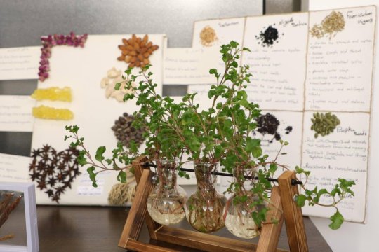 صور عن الكلية